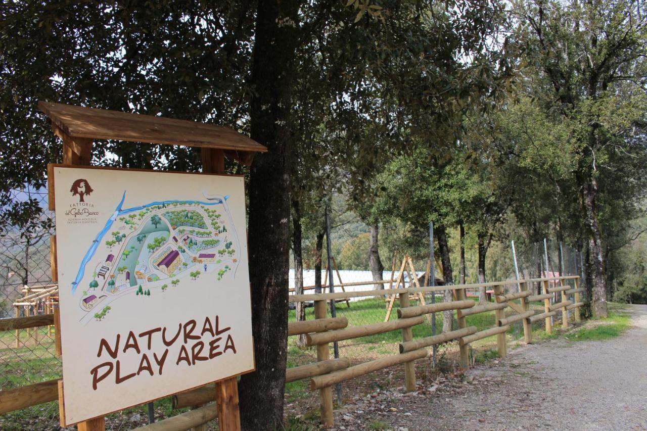 Dimora Igea b&b Montano Antilia Esterno foto